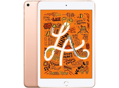 iPad mini 5 64GB wifi+Cellular