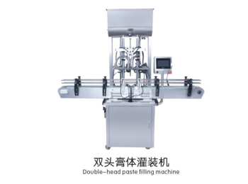 Double-head paste filling machine