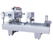 Automatic Filling & Sealing Machine