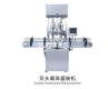 Double-head paste filling machine